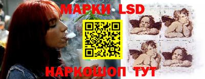 прущие крисы Кингисепп